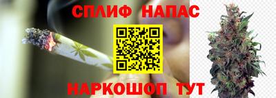 apvp Краснознаменск