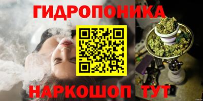 apvp Краснознаменск