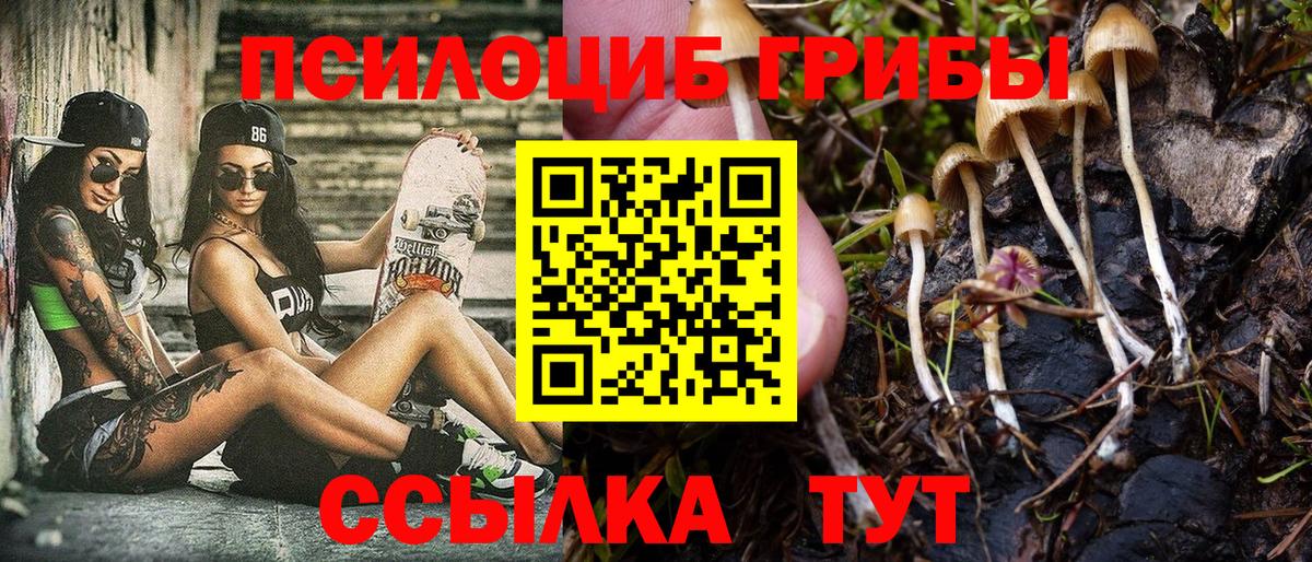 Унеча  Псилоцибиновые грибы мицелий  Вход с VPN 